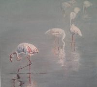 Flamingoes in the Mist