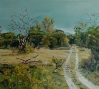 Karangwe Game Farm
